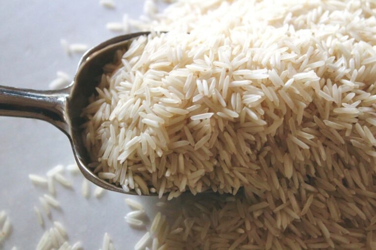Uncooked rice grains in a scoop