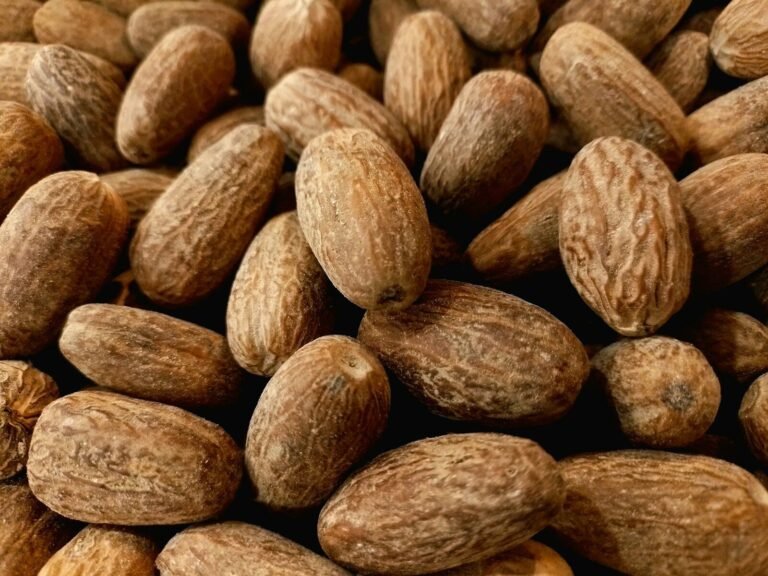 Nutmeg and Mace: A Guide for Spice Buyers